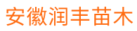 安徽寿县香蕉视频下载网址链接香蕉视频首页在线观看种植有限公司